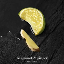 Acqua di Giò Parfum Refill