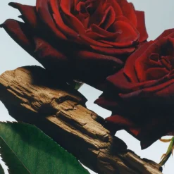 ALL OVER BODY SPRAY VR&O 125ML/3. 8O