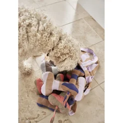 Ashi Hundelegetøj - Stor