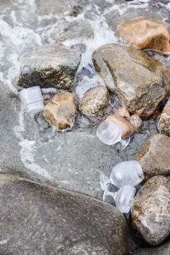 Billi coupe glass, 2-stk