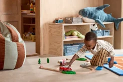 Brio Togsæt Pull Back