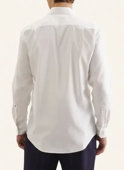 Business Shirt Regular