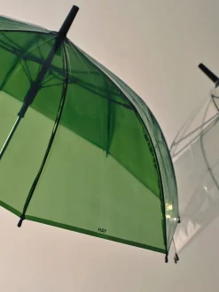 Canopy Umbrella