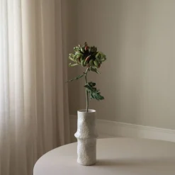 Chrysanthemum Flower