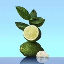 CK One Eau de Toilette