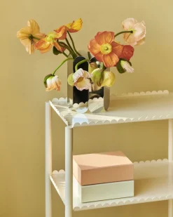 Colour Storage-X-Small