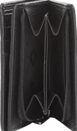 Cormorano pung ninni