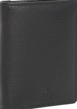 Cormorano pung ninni