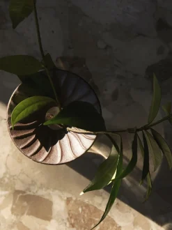 Cresco Propagation Vases, Set of 2