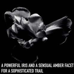 Dior Homme Intense Eau de parfum