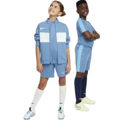 Dri-FIT Academy 23 shorts