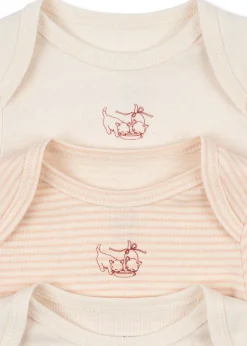 FIO STRIPE 3 PACK LS BODY OCS