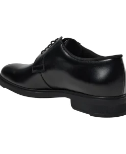 Firstclass_Derb_pl_N