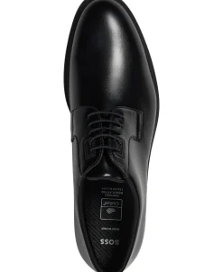 Firstclass_Derb_pl_N