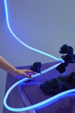 FLEX TUBE, 5 M, BLUE