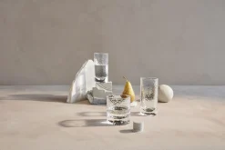 Forma Longdrinkglas klar 32 cl 2 stk.