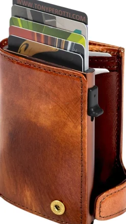 Furbo Cardholder, Van Gogh