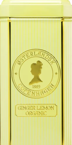 Ginger & Lemon Organic, 75pcs. pyramide thebreve