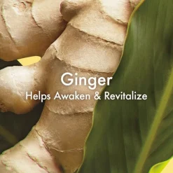 Ginger Essence Sensuous Fragrance Skin Scent