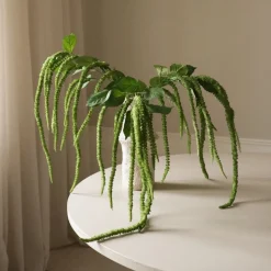 Green Three Forks Amaranthus Flower