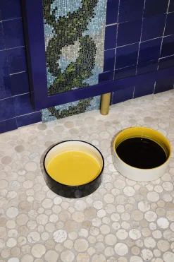 HAY Dogs Bowl-Large-Blue, yellow