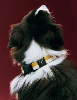 HAY Dogs Collar Flat-M/L-Off-white,