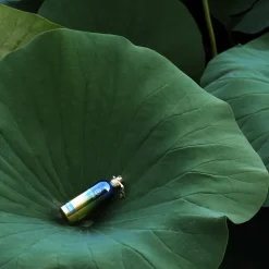 Herbal Aquatica EdP 100 ml