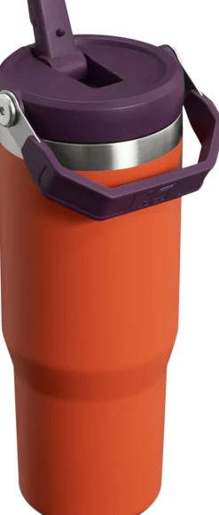 IceFlow Flip Straw Tumbler 0.89L