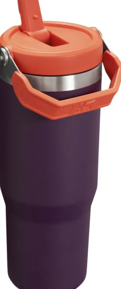 IceFlow Flip Straw Tumbler 0.89L