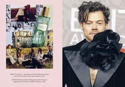 Icons of Style - Harry Styles
