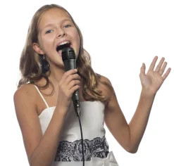 KARAOKEHØJTALERmMIC 2x4