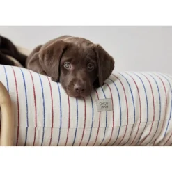 Kyoto Hundepude - Medium