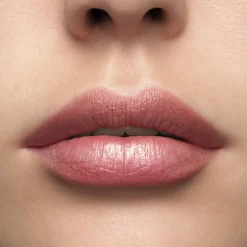 Lancôme L'Absolu Rouge Lipstick 295