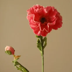 Large Poppy Flower