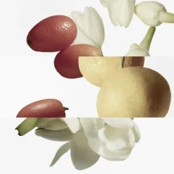 LE JARDIN DE MONSIEUR LI EDT BOTTLE REFILL 200 ML