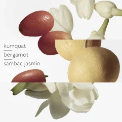 Le Jardin de Monsieur Li Eau de Toilette