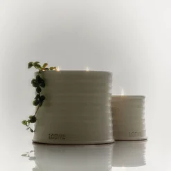 LOEWE Oregano Soap Bar