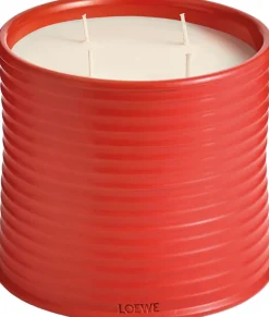 LOEWE Tomato Leaves Candle