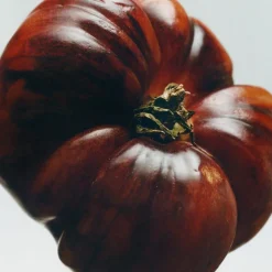 LOEWE Tomato Leaves Hand Cleanser