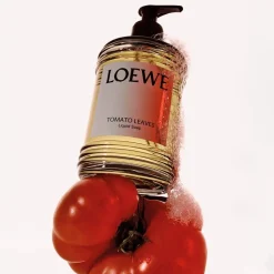 LOEWE Tomato Leaves Liquid Soap