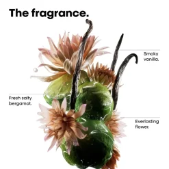 L'Oréal Professionnel Absolut Repair Molecular Discovery Set Mini: Sha