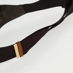 Louis Vuitton Belt Bags
