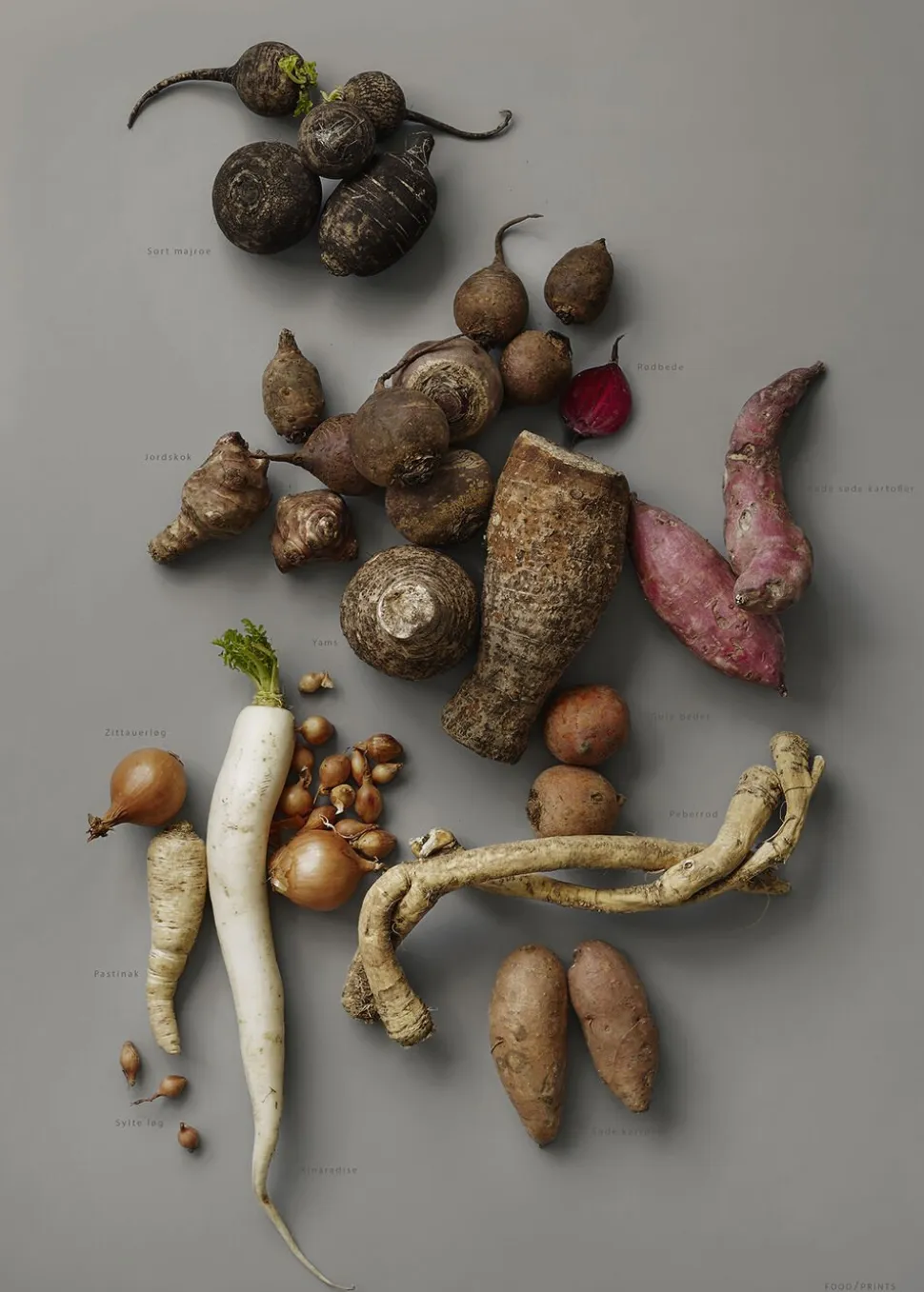 MAD/PLAKAT - Grå rødder- pl