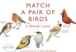 Match a pair of Birds