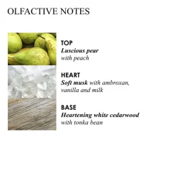 MILK MUSK BODY LOTION