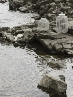 Mobile LED Lamp -LITO- Colour Silk Gray Size L