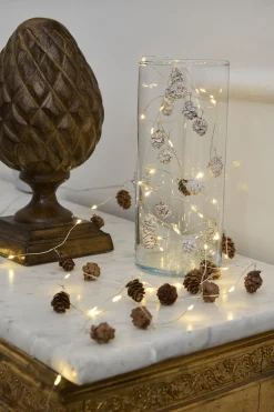 Molly kogler sne 20L