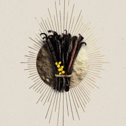 NOVAE VANILLA - EAU DE PARFUM 100ML