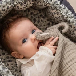 Nusseklud, Elefanten Finley