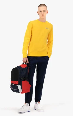 Organic Cotton Blend Small Script Logo sweatshirt